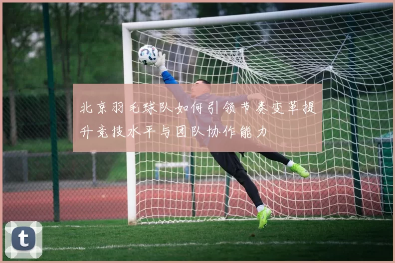 北京羽毛球队如何引领节奏变革提升竞技水平与团队协作能力