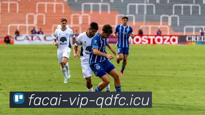 开云体育品牌故事