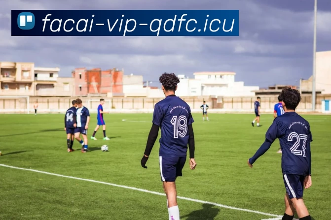 开云体育服务体系